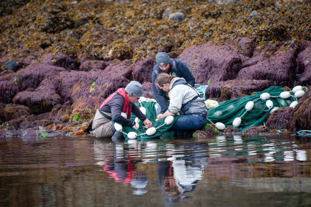 BC Salmon Farmers association
