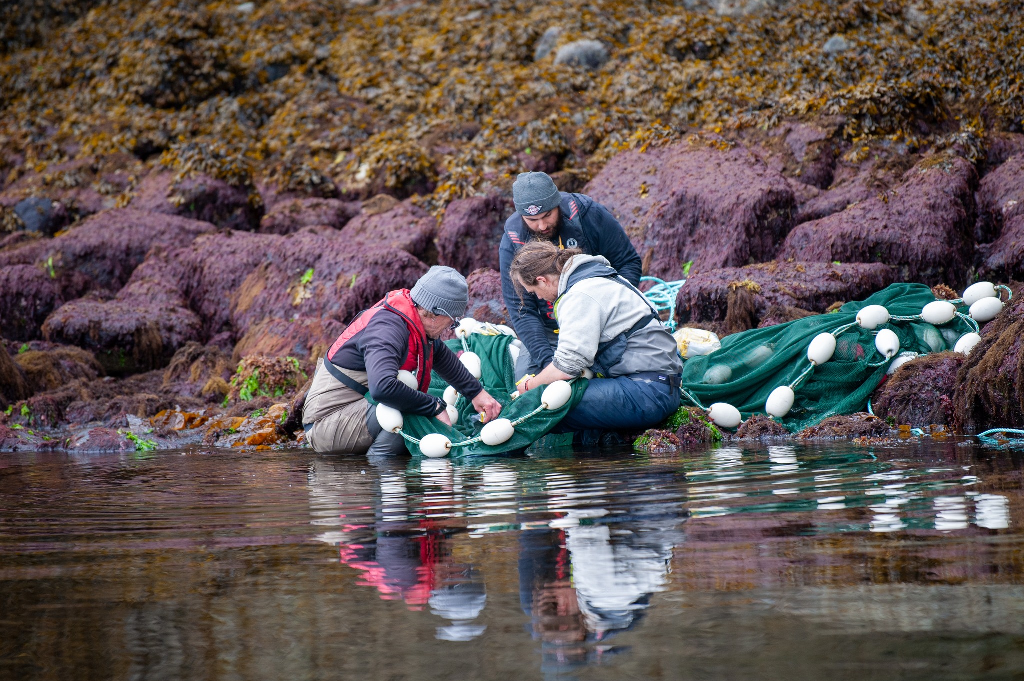 BC Salmon Farmers association