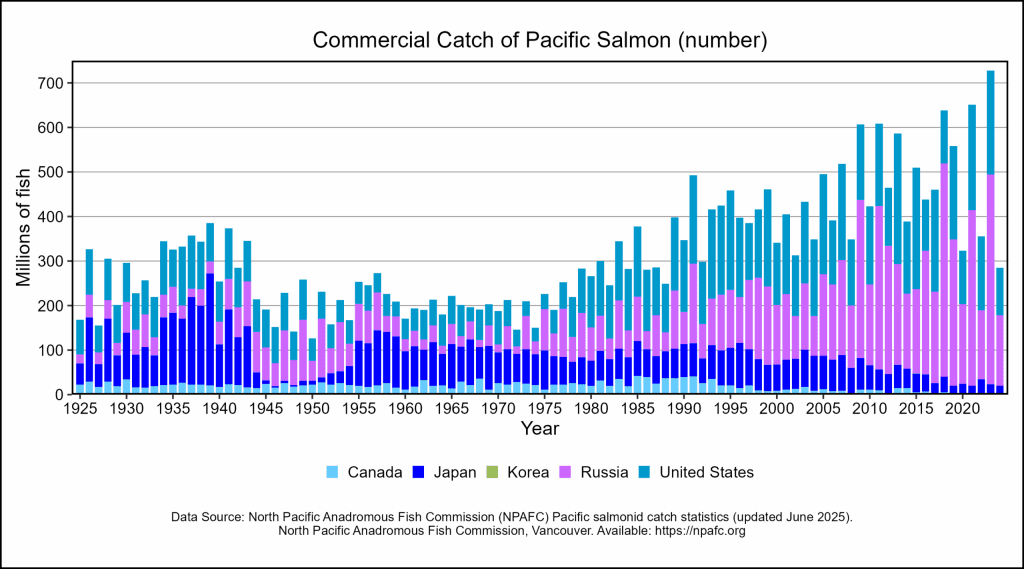 Off the charts, in a bad way. Canada’s commercial catch for Pacific salmon has been zero in recent years. | North Pacific Anadromous Fish Commission